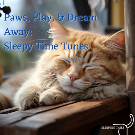 Kitten Sleep | Boomplay Music