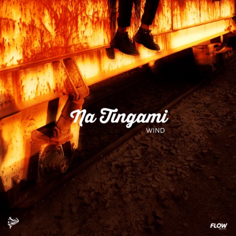 Na Tingami | Boomplay Music