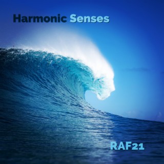 Harmonic Senses