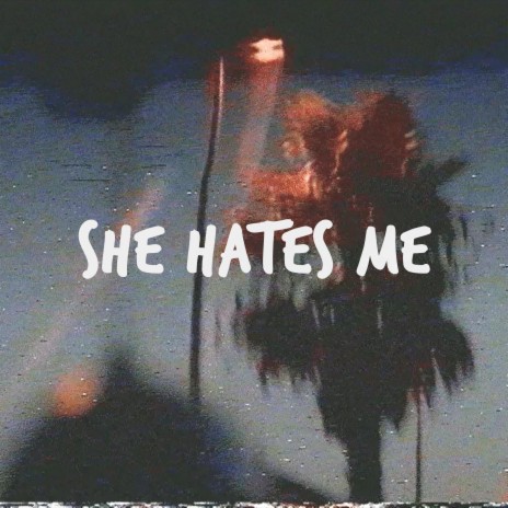 she hates me | Boomplay Music