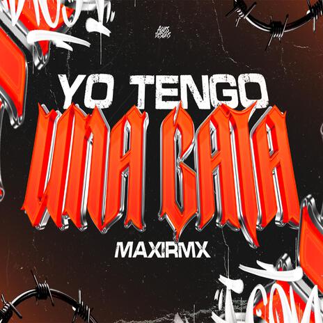 YO TENGO UNA GATA | Boomplay Music