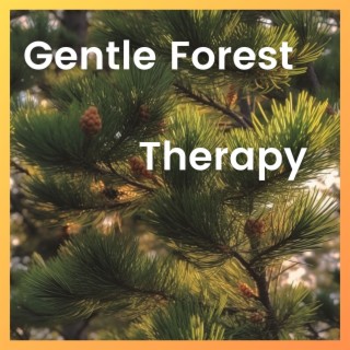 Gentle Forest Therapy