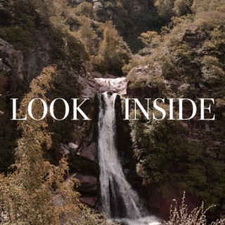 look inside