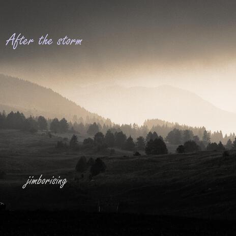 After the storm | Boomplay Music