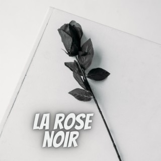 La rose noir