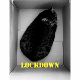 Lockdown