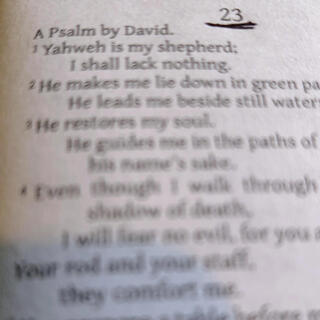 Psalms (Like David)