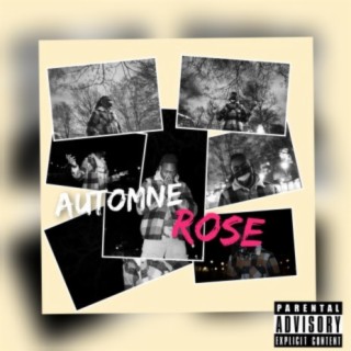 AUTOMNE ROSE