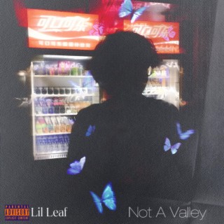 Not A Valley prod.tired