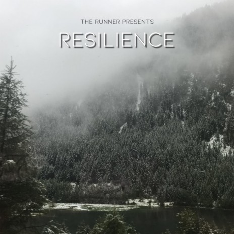 resilience (0.337187)