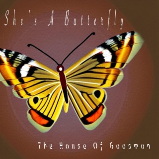 She's A Butterfly lyrics | Boomplay Music