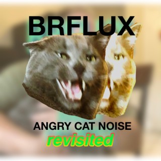 ANGRY CAT NOISE REVISITED