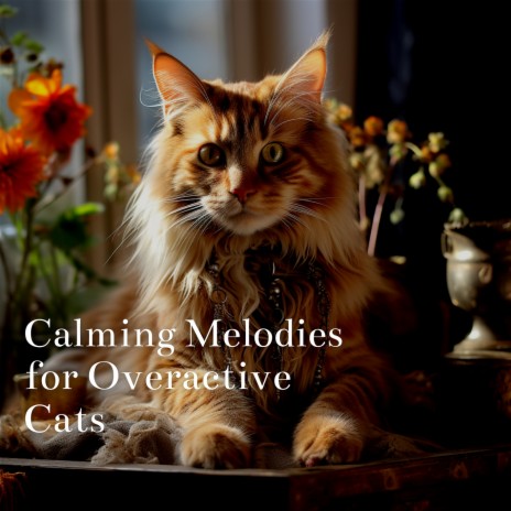 Serene Music ft. Cat Music Relaxation & Music for Cats Peace | Boomplay Music