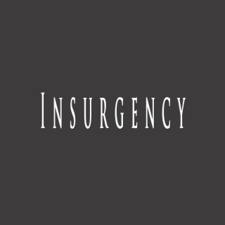 Insurgency