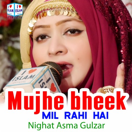 Mujhe bheek mil rahi hai | Boomplay Music