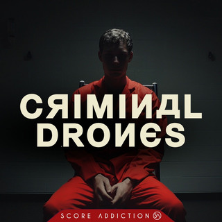 Crime Drones