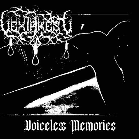 Voiceless Memories | Boomplay Music