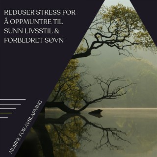 Reduser Stress for å Oppmuntre til Sunn Livsstil & Forbedret Søvn