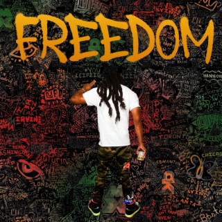 Freedom lyrics | Boomplay Music