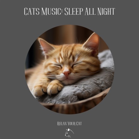 Cat Massage ft. Cats Music Zone & Music for Cats Project | Boomplay Music