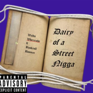 Diary of a Street Nigga