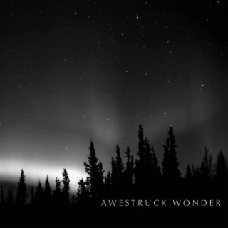 Awestruck Wonder lyrics | Boomplay Music