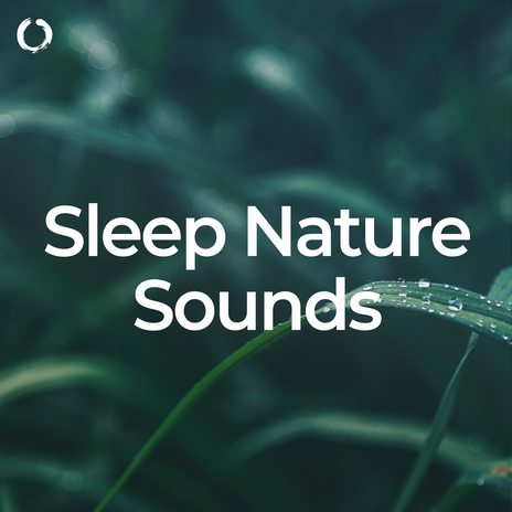 Soft Nature Melodies for Sleep ft. Nature Of Sweden & Nature Radiance | Boomplay Music