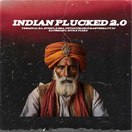 Indian Plucked 2.0 ft. Sthipla Rsa, Untouchable MasterZA, DJ KAYSMART, DIYZ & Tiara | Boomplay Music