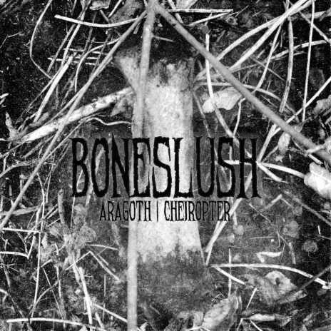 BONESLUSH ft. CHEIROPTER | Boomplay Music