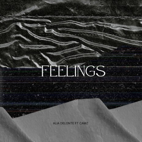 Feelings ft. Camz | Boomplay Music