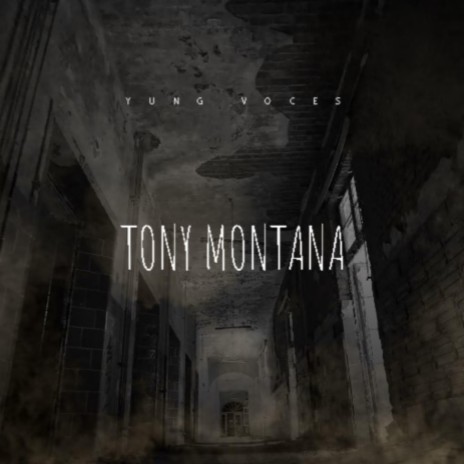 Tony Montana | Boomplay Music