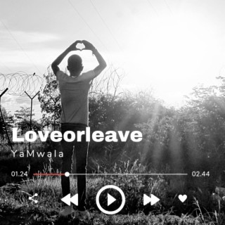 Love or Leave