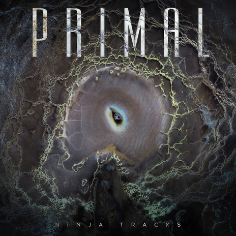 Primal ft. Eric Tannery | Boomplay Music