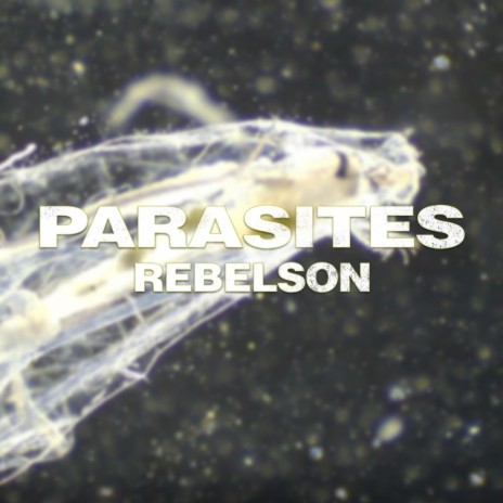 Parasites