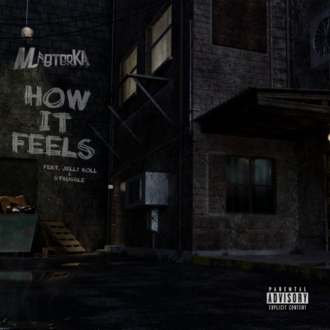 How It Feels ft. Jelly Roll & Struggle Jennings 🅴 | Boomplay Music