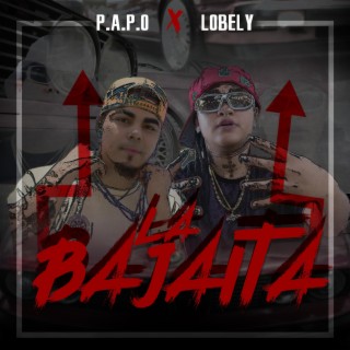 P.A.P.O X LOBELY RD LA BAJAITA