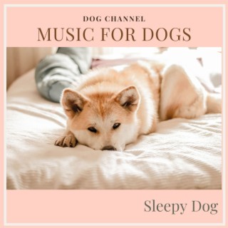 Music for Dogs - Sleepy Dog