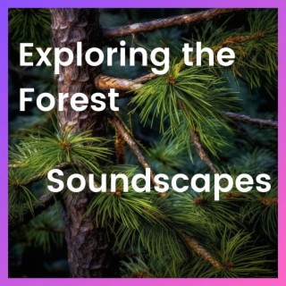 Exploring the Forest Soundscapes