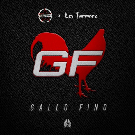 Gallo Fino | Boomplay Music