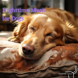 Nighttime Music for Dogs