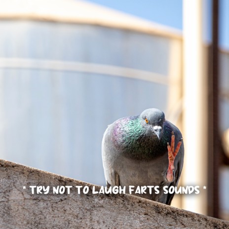 Fart Sound Effect - poop sounds ft. Funny Fart & Funny Sounds Effects MP3  Download & Lyrics