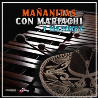 Las Mañanitas Con Mariachi y Marimba