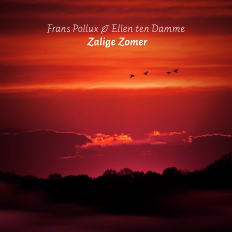 Zalige Zomer ft. Ellen Ten Damme | Boomplay Music