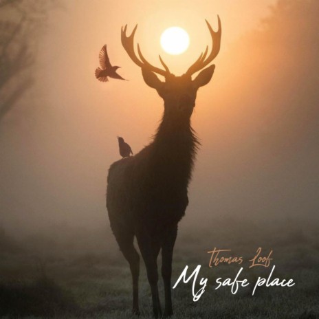 My safe Place | Boomplay Music