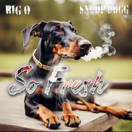 So Fresh ft. Snoop Dogg | Boomplay Music