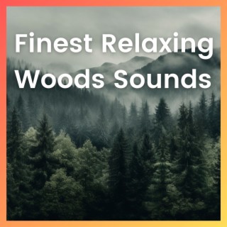 Finest Relaxing Woods Sounds