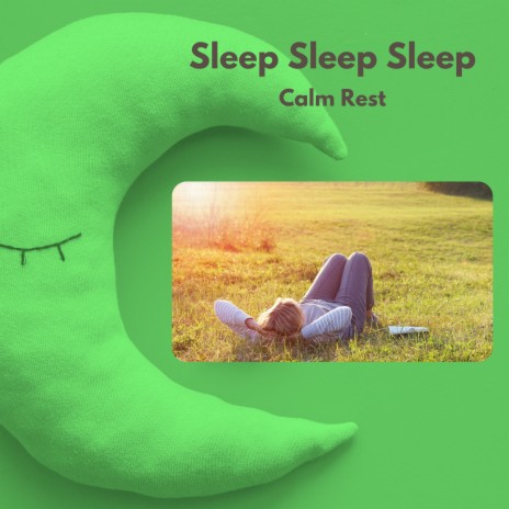 Sleep Cycle 20 | Boomplay Music