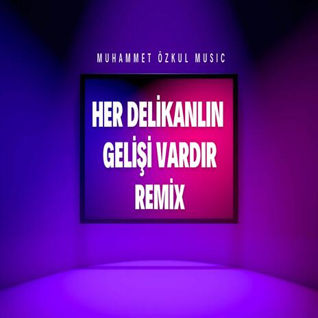 Her Delikanlının Gelişi Vardır | Boomplay Music