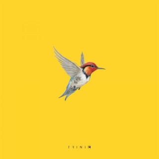 Bird (Live Looping Remix)