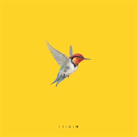 Bird (Live Looping Remix) | Boomplay Music